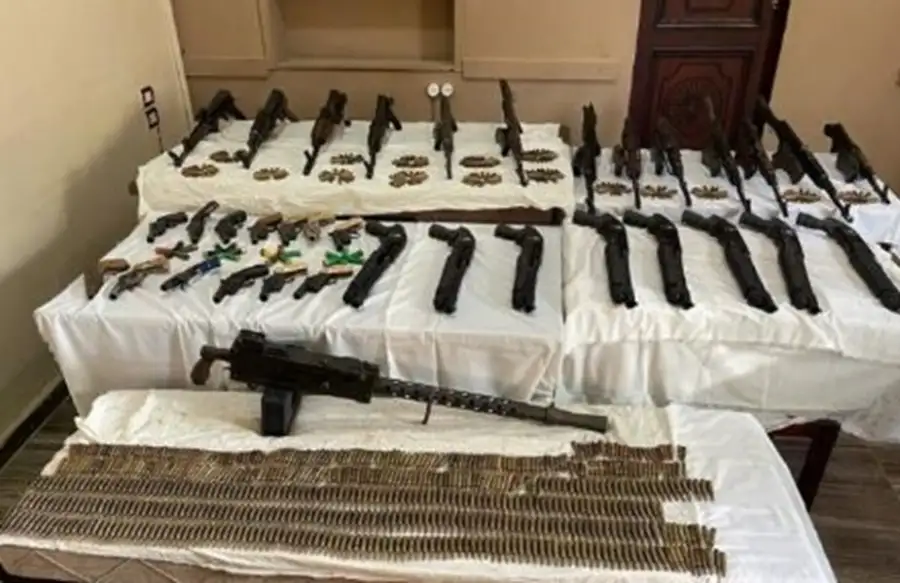 ضبط 220 سلاحا ناريا و341 كيلو مخدرات خلال حملات أمنية