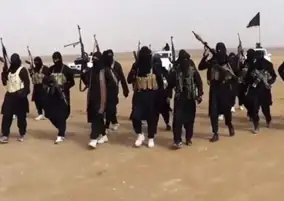 الأمم المتحدة: خطر داعش ازداد وأصبح أكثر تعقيدا
