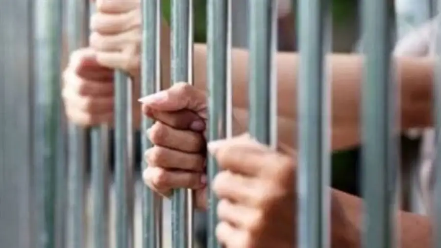 السجن 7 أعوام لـ5 متهمين بدهس شخص واستعراض القوة بالأسلحة في الإسكندرية