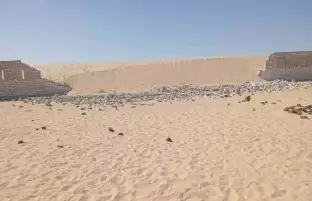 وزيرة التضامن توجه بصرف المساعدات اللازمة لأسر ضحايا حادث دير أبو فانا بالمنيا
