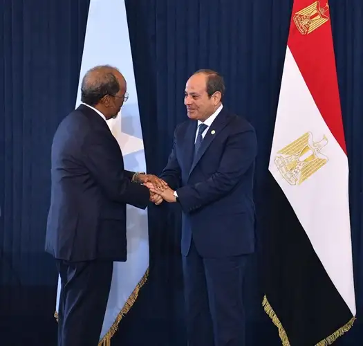 السيسي يستقبل رئيس الصومال لبحث تعزيز التعاون والتنسيق حول القضايا الإقليمية والدولية
