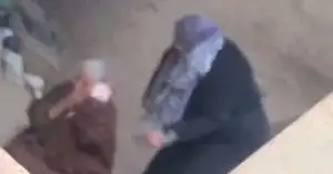 النيابة العامة تقرر عرض عجوز ضربتها ابنتها في الشرقية على الطب الشرعي