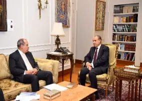 وزير الخارجية يبحث مع رئيس الجامعة البريطانية تعزيز التعاون الأكاديمي والتنموي