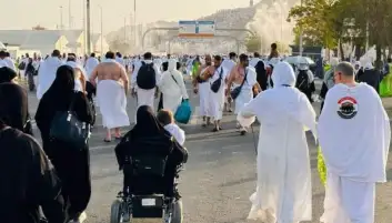 مصدر بالتضامن: تنظيم رحلة جديدة لأداء العمرة خلال العشر الأواخر من رمضان