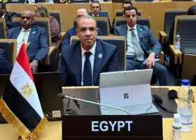 وزير الخارجية يترأس وفد مصر في قمة الاتحاد الأفريقي