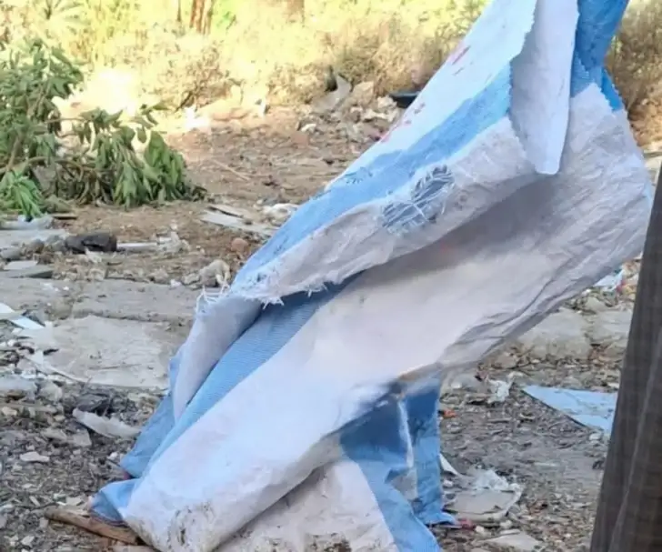مفتش صحة بالمنيا عن واقعة العثور على أجنة في كيس قمامة: قد تستخدم في الشعوذة