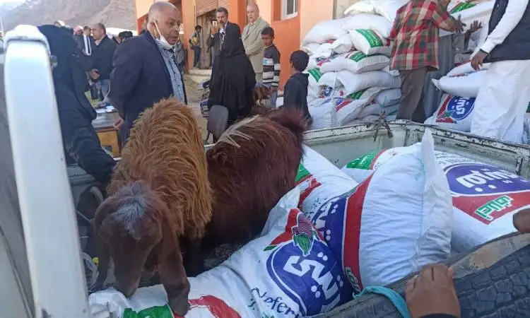 التضامن الاجتماعي: ميزانية تكافل وكرامة زادت 11 ضعفا لتصل إلى 54 مليار جنيه