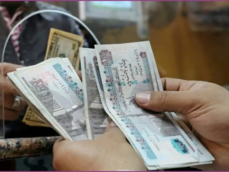 غدا.. التضامن بدء صرف المساندة النقدية الإضافية بمناسبة شهر رمضان لأسر تكافل وكرامة