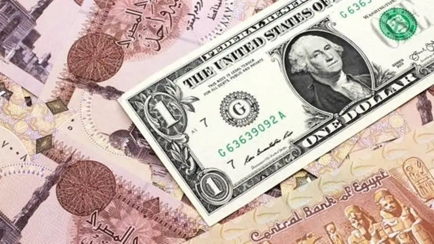 الخميس 19 فبراير 2026.. الدولار يرتفع أمام الجنيه في ختام تعاملات الأسبوع