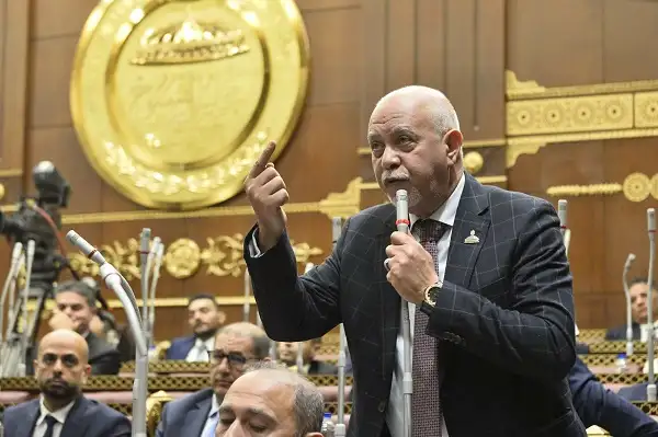 النائب حازم الجندي: بيان القاهرة حاسم في رفض مزاعم ضم الأراضي العربية لإسرائيل