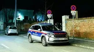 مراهقة تعترف بقتل امرأة طعنا في مقبرة بفيينا