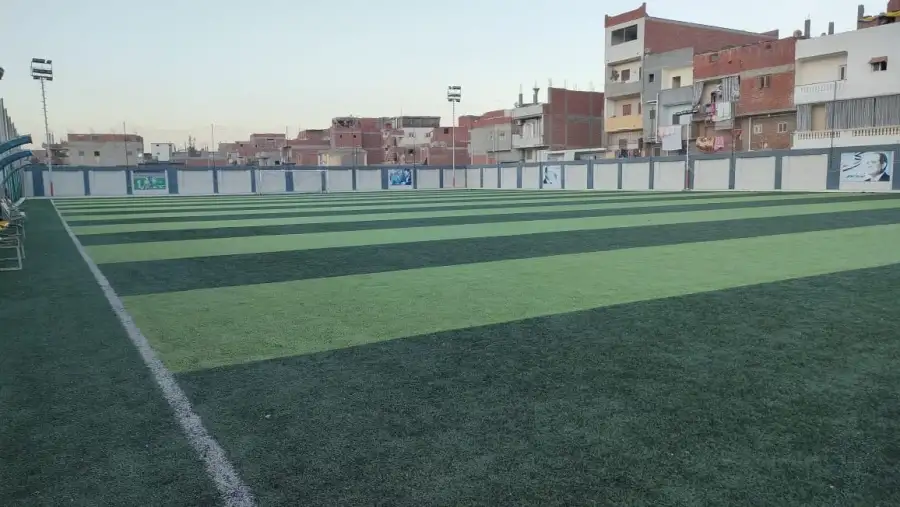 مشاجرة داخل ملعب كرة قدم في الدقهلية وإصابة عضو مجلس إدارة مركز شباب منشأة شومان