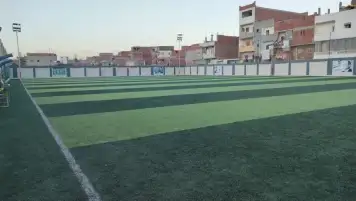 مشاجرة داخل ملعب كرة قدم في الدقهلية وإصابة عضو مجلس إدارة مركز شباب منشأة شومان
