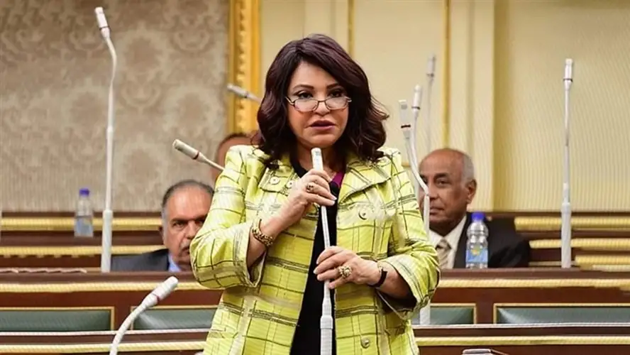 النائبة آمال عبدالحميد: الوضع الحالي يتطلب الحنكة.. لا نريد أن نؤكل كما أُكِلت الثيران البيض