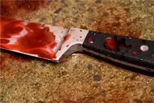 ضبط شخص بتهمة الاعتداء على طليقته بالساطور في طنطا
