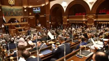 مجلس الشيوخ يوافق على ضم الهيئات البحثية والجامعات الأجنبية بقانون المستشفيات الجامعية