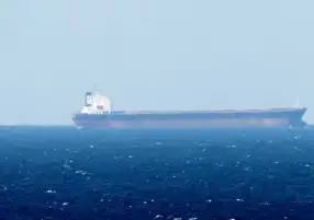 الأمم المتحدة تدعو إلى السماح بمرور الشحنات الإنسانية عبر مضيق هرمز