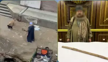 القبض على حارس عقار لاعتدائه على الكلاب الضالة في الجيزة