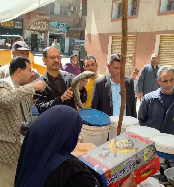 ضبط طن أسماك مملحة فاسدة ولحوم غير صالحة خلال حملات رقابية مكثفة بمراكز المنيا