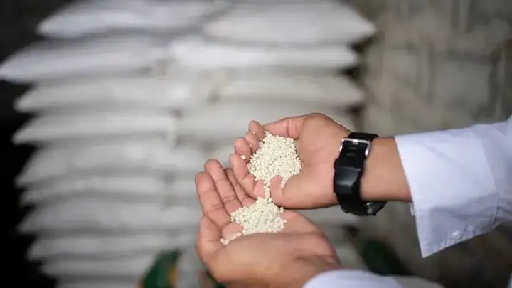 نقيب الفلاحين للمزارعين: استعدوا لأيام صعبة.. شركات الأسمدة تمنع البيع والسعر الحر قد يصل لـ 28 ألفا