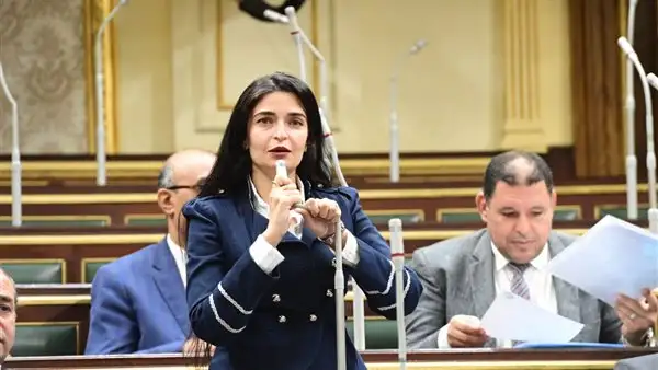 النائبة إيرين سعيد: نرفض مشروع الإدارة المحلية.. والحكومة لم تنفض التراب من عليه