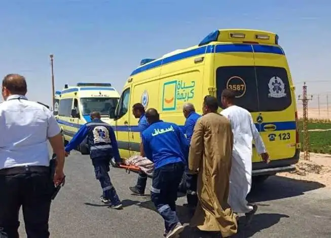مصرع شخص وإصابة اثنين آخرين إثر انقلاب سيارة ربع نقل محملة بالفراولة في المنوفية