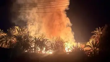 السيطرة على حريق داخل مزرعة نخيل بمركز الخارجة في الوادي الجديد