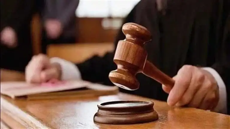 جنايات شبرا الخيمة: تأجيل محاكمة المتهمين في قضية طفل باسوس ووالده لجلسة يونيو المقبل