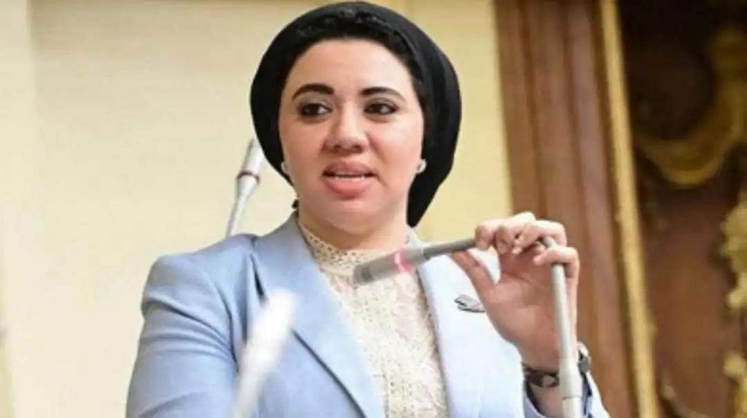 النائبة أميرة صابر تطالب بإعادة تفعيل لجنة العفو الرئاسي