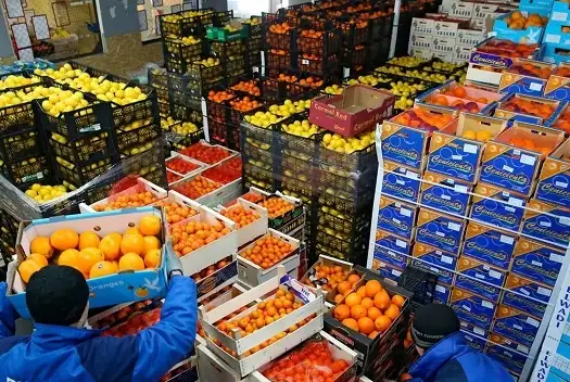 مصر تصدر 180 ألف طن مواد غذائية خلال الأسبوع الماضي إلى 183 دولة