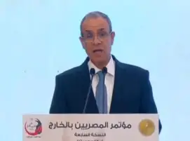 وزير الخارجية: نواجه تحديات من كل الاتجاهات.. والأمن المائي التهديد الوجودي الأول لمصر