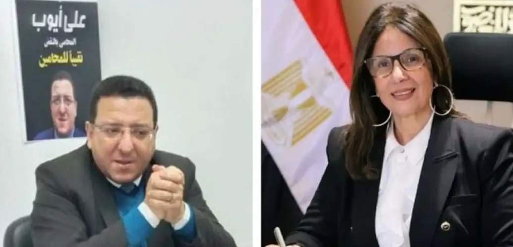 رفض استشكال المحامي المتهم بسب وزيرة الثقافة السابقة على حكم حبسه 3 سنوات