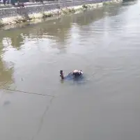 حملات أمنية بالإسكندرية والبحيرة.. ضبط مخالفات مرورية ورفع إشغالات وإنقاذ هاتف سيدة من مجرى مائي