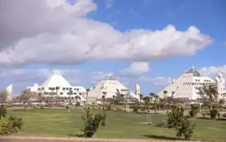 التعليم العالي والبحث العلمي: ورشة عمل بمدينة الأبحاث العلمية للتعريف بأحدث الأجهزة العلمية بالمعامل المركزية