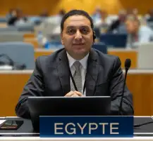 متحدث الوزراء: القضية الفلسطينية كانت حاضرة بقوة في الأمم المتحدة.. وكلمة مصر الرسمية أمام الجلسة العامة الجمعة