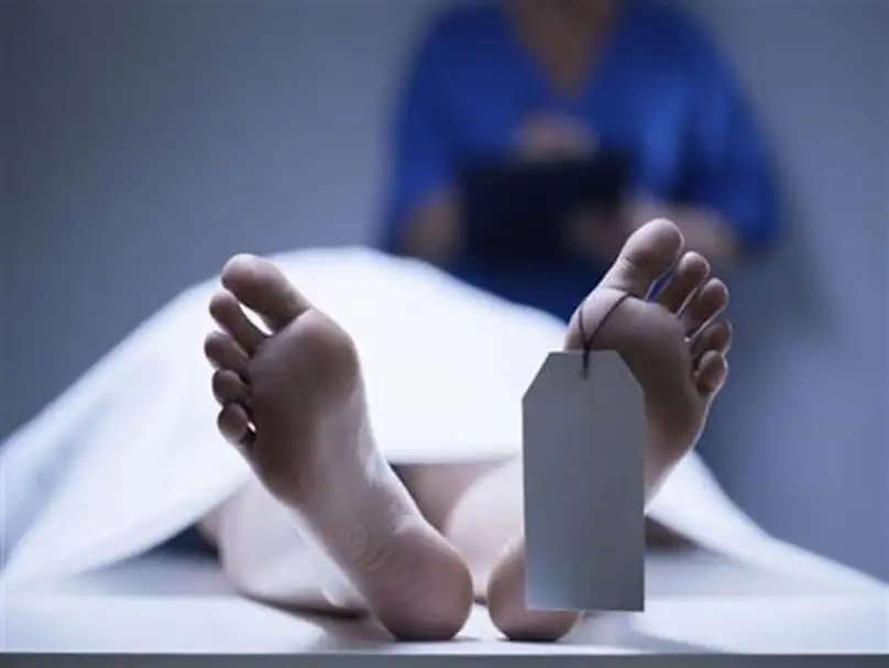 مصرع شخص داخل ماكينة دراس أثناء حصاد الذرة في أسوان